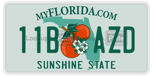 11BAZD  license plate in FL