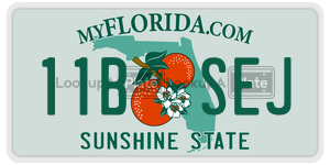 11BSEJ  license plate in FL