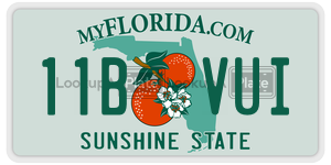 11BVUI license plate in Florida