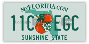 11CEGC  license plate in FL