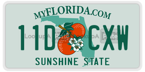 11DCXW  license plate in FL
