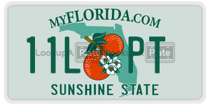 11LPT  license plate in FL