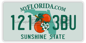 1213BU  license plate in FL