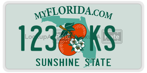 123KS  license plate in FL
