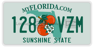 128VZM  license plate in FL