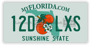 12DLXS  license plate in FL