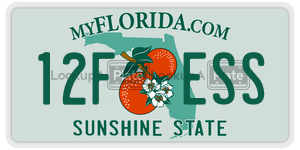 12FESS  license plate in FL