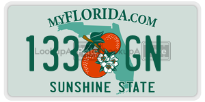 133GN  license plate in FL
