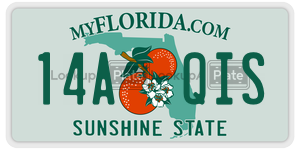 14AQIS  license plate in FL