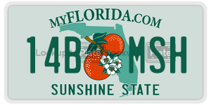 14BMSH  license plate in FL