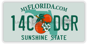 14CDGR  license plate in FL
