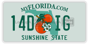14DIG  license plate in FL