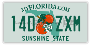 14DZXM license plate in Florida