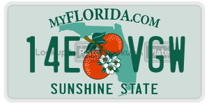 14EVGW license plate in Florida