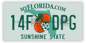 14FDPG  license plate in FL