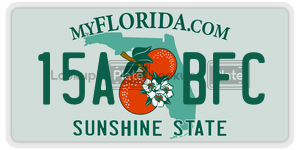 15ABFC license plate in Florida