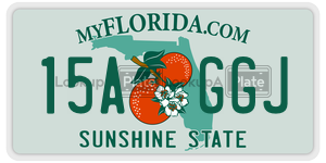 15AGGJ  license plate in FL