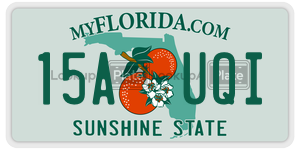15AUQI  license plate in FL