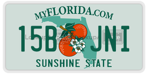 15BJNI license plate in Florida