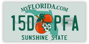 15DPFA license plate in Florida