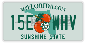 15EWHV  license plate in FL