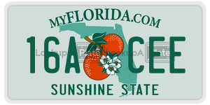 16ACEE  license plate in FL