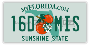 16DMIS license plate in Florida