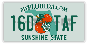 16DTAF license plate in Florida