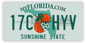 17CHYV  license plate in FL