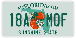 18AMQF license plate in Florida