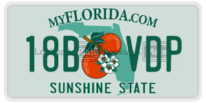 18BVDP license plate in Florida