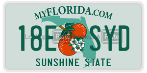 18ESYD  license plate in FL