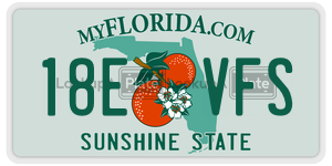 18EVFS license plate in Florida