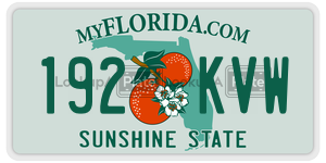 192KVW  license plate in FL