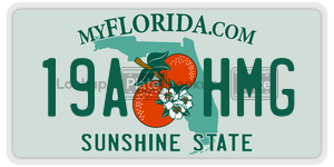 19AHMG  license plate in FL
