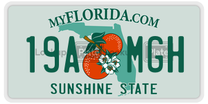 19AMGH  license plate in FL