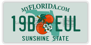 19BEUL  license plate in FL