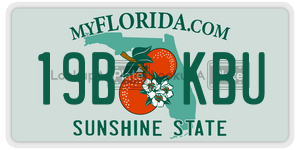 19BKBU  license plate in FL