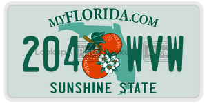 204WVW  license plate in FL