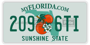 2096TI license plate in Florida