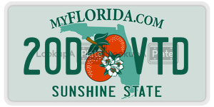 20DVTD  license plate in FL