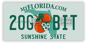 20GBIT  license plate in FL