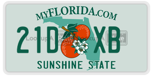 21DXB  license plate in FL