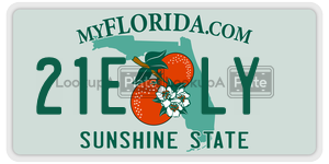 21ELY  license plate in FL
