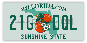 21GDQL  license plate in FL