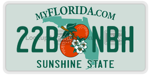 22BNBH license plate in Florida