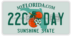 22CDAY  license plate in FL