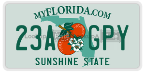 23AGPY  license plate in FL