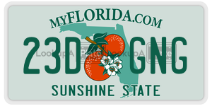 23DGNG  license plate in FL
