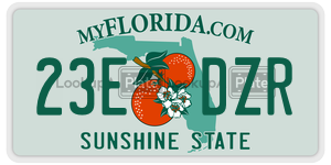 23EDZR  license plate in FL